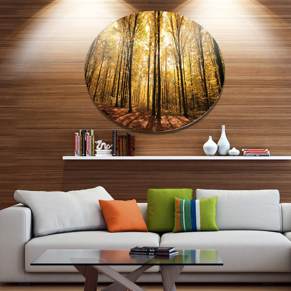 Setting Sun Over Dense Fall Forest, Modern Forest Round Wall Art, 36"