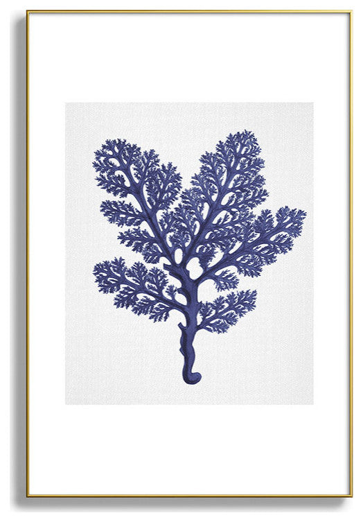 Gal Design Seaweed 2 Metal Framed Art Print