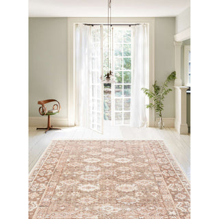 Palace Farzana Area Rug, Wood, 3'x5'
