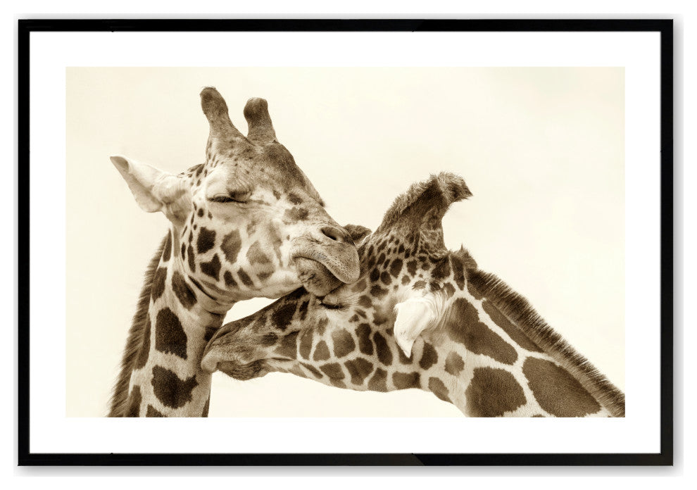 Satin Black 24" x 36" In Love Framed Print