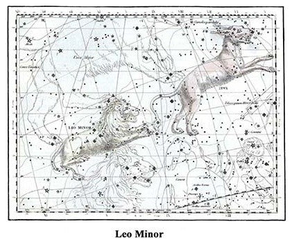Leo Minor- Paper Poster 20" x 30"