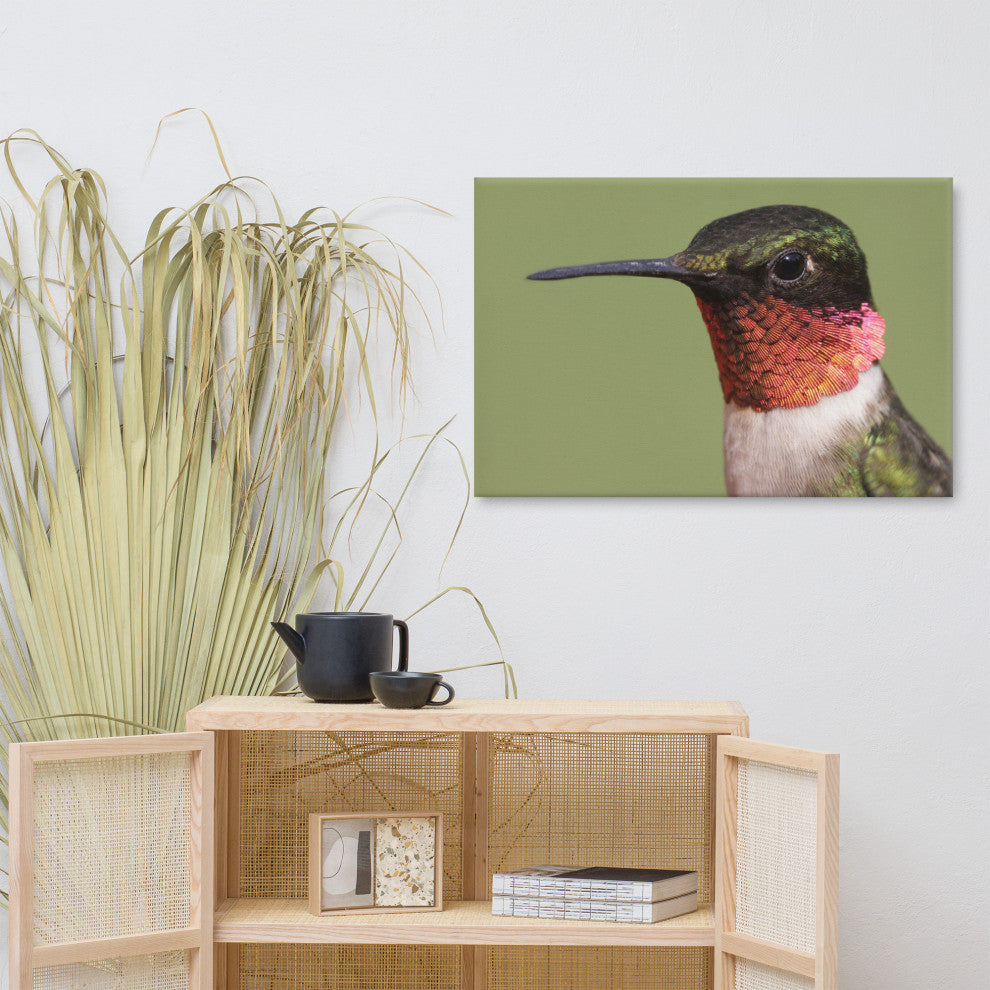 Close-up Ruby-throated Hummingbird Wildlife Photograph Canvas Wall Art Print, 24" X 36"