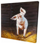 Happy Pig, Fine Art Gallery Wrapped Canvas, 24"x24"x1.5''