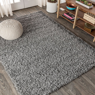 Mercer Shag Plush Area Rug, Charcoal, 3 X 5