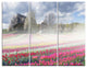 "Field of Tulips in Pirogovo" Photo Wall Art, 3 Panels, 36"x28"