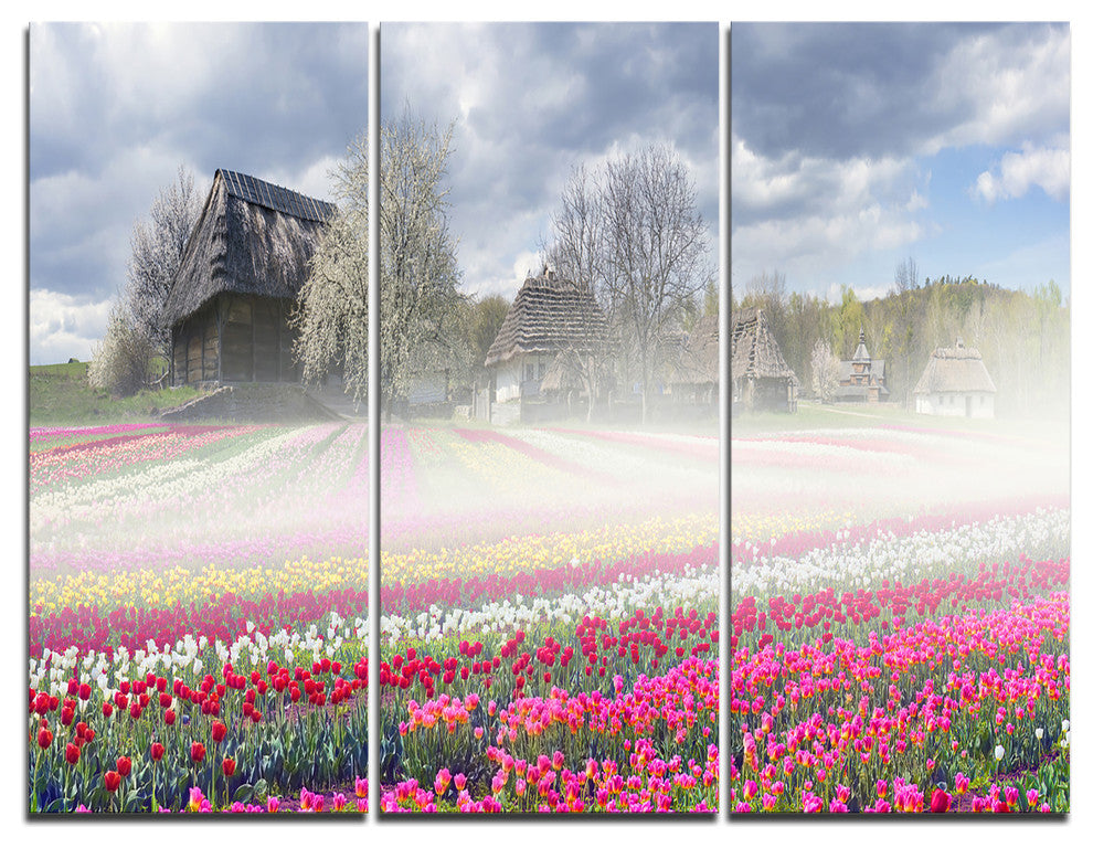 "Field of Tulips in Pirogovo" Photo Wall Art, 3 Panels, 36"x28"