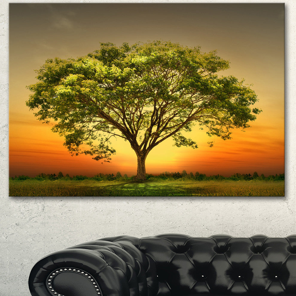 Green Tree against Setting Sun, Trees Canvas Art Print, 60"x28"