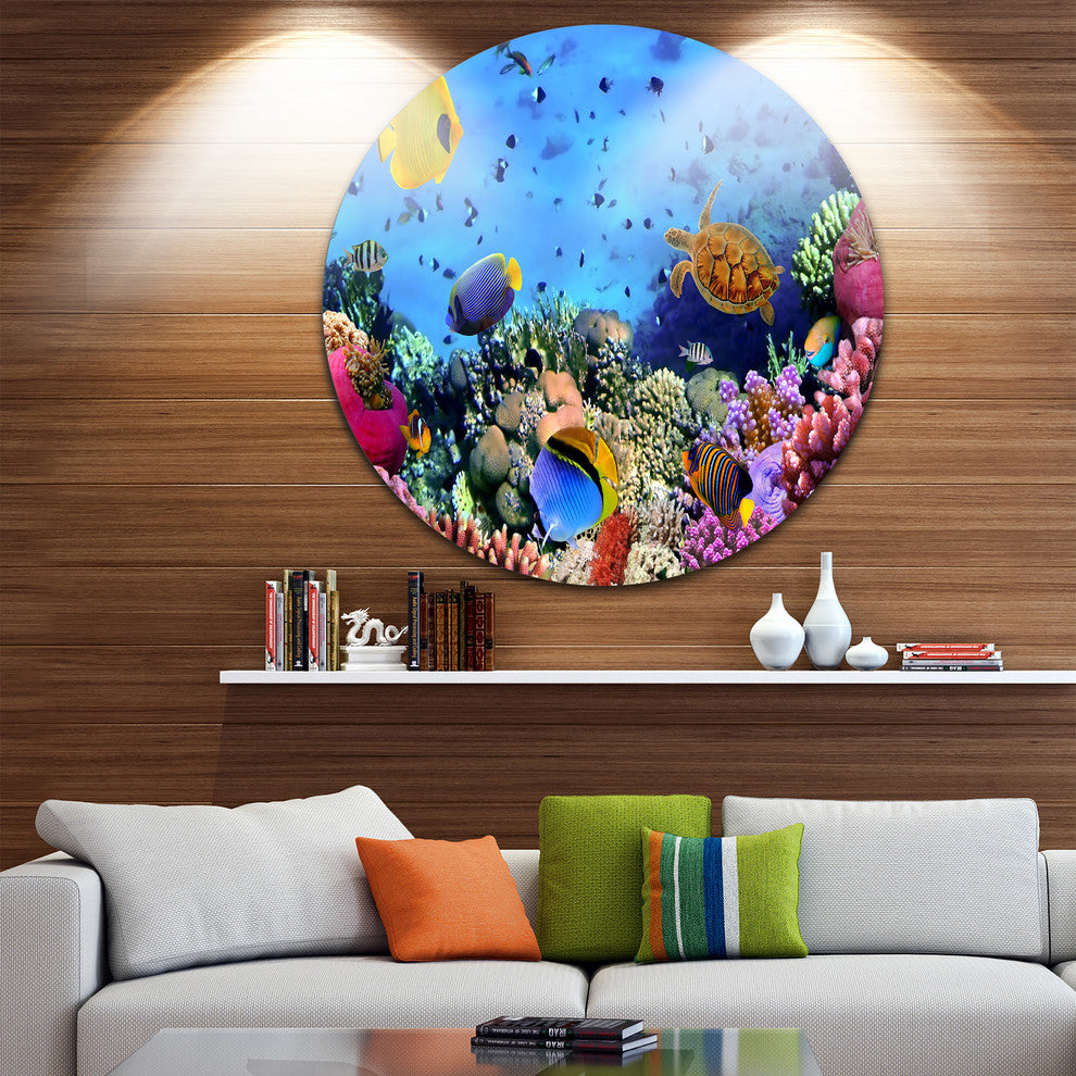 Coral Colony And Coral Fishes, Seascape Photo Disc Metal Wall Art, 23"