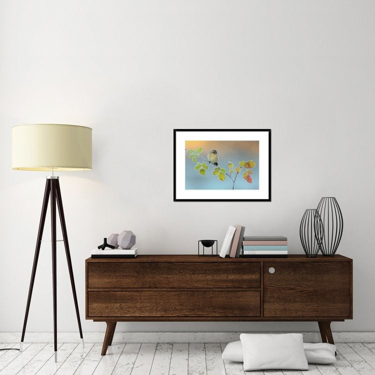 "Winter Colors" Framed Digital Print by Andres Miguel Dominguez, 32x24"