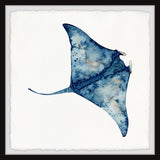 "Wild Stingray" Framed Painting Print, 32x32