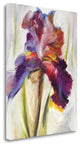"Colors Of Iris I" By Maria Zielinska, Giclee Print on Gallery Wrap Canvas
