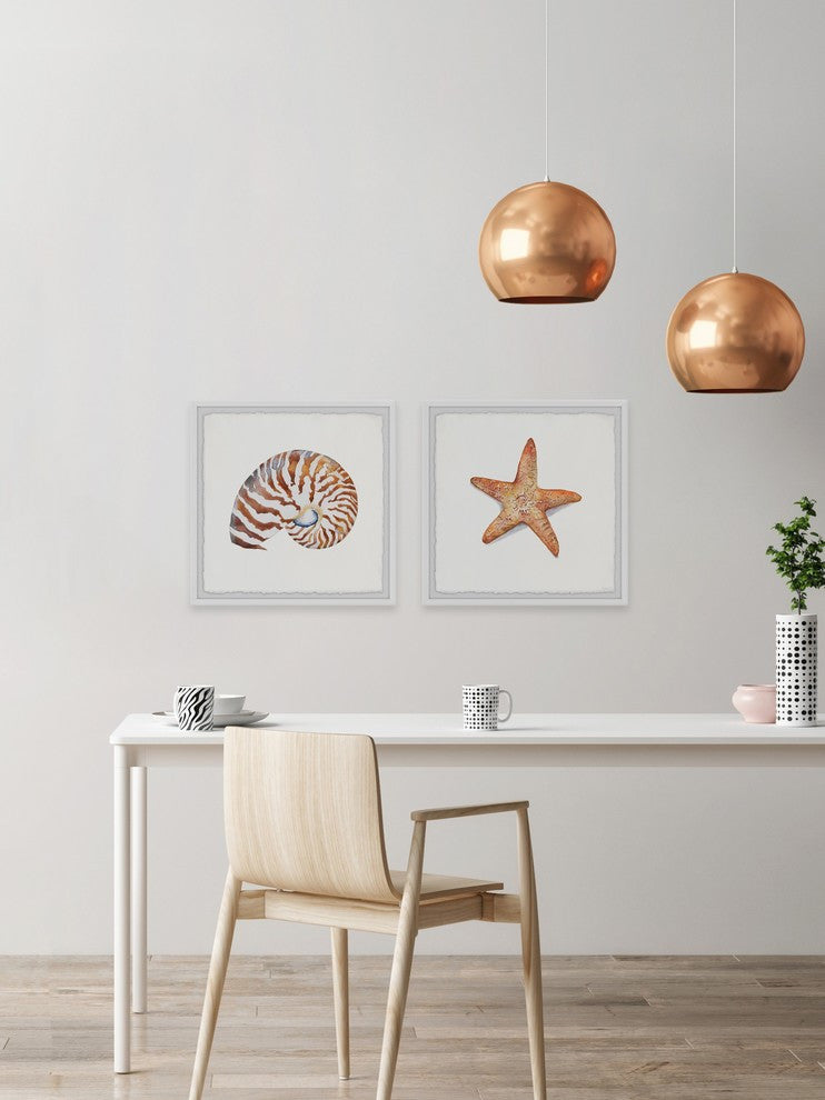 Starry Shell Diptych, 24"x12"