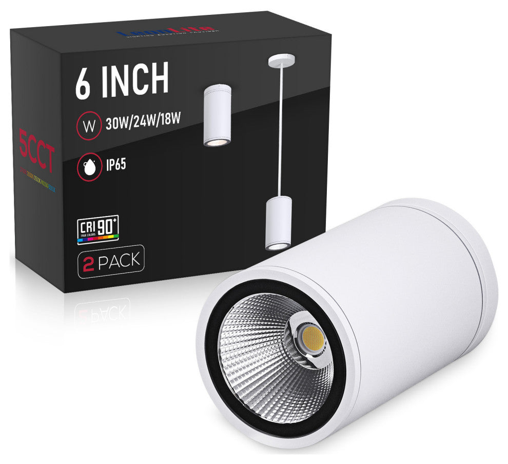 2 Pack 5CCT LED 6 Inch Commercial Pendant Light, 3 Power Options, White