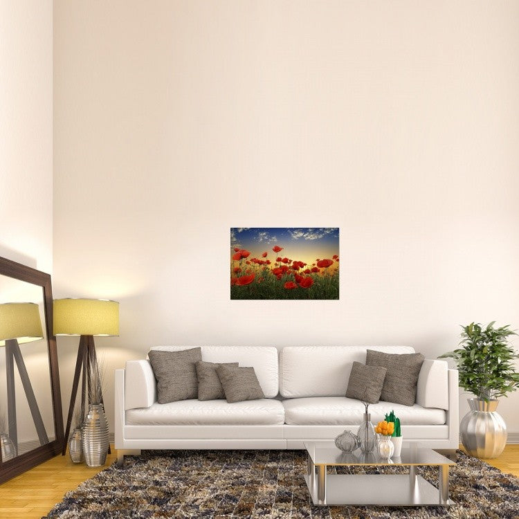 "Poppies" Stretched Canvas Giclee by Tais, 36x24"