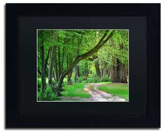 'Intimate Landscape' Matted Framed Canvas Art by Philippe Sainte-Laudy