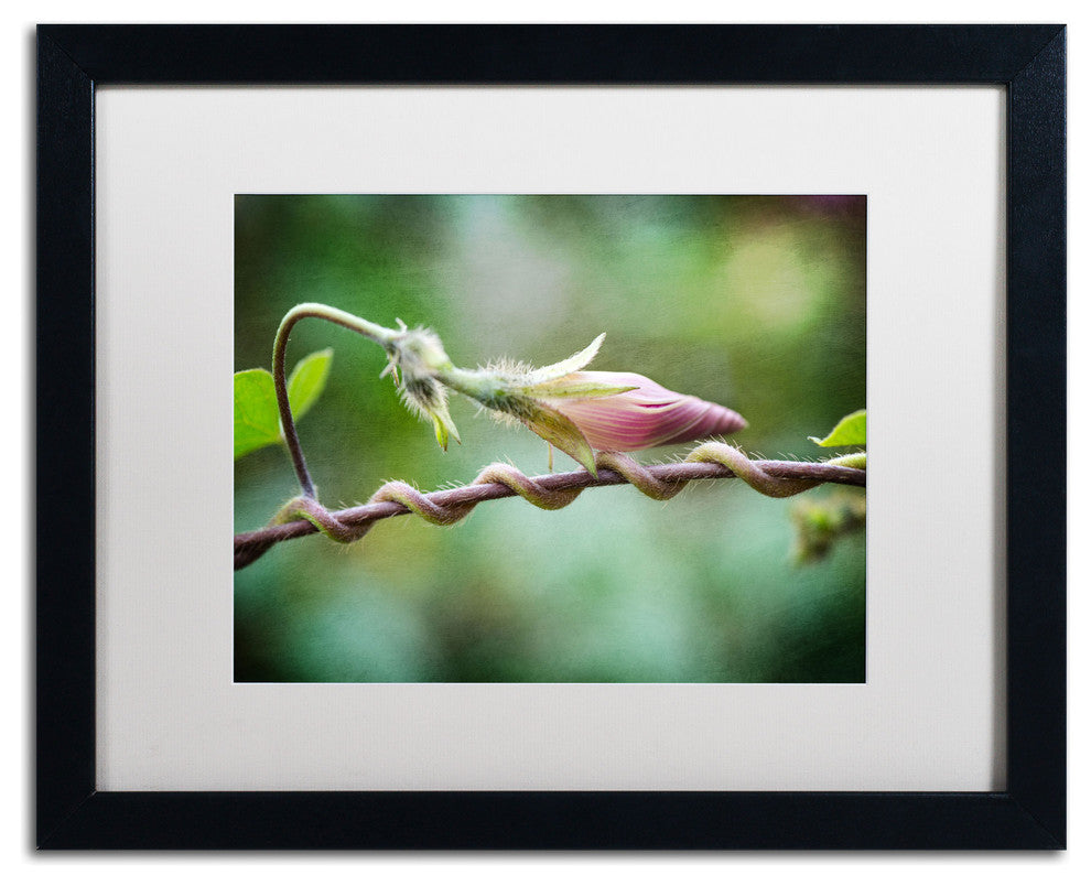 'Focus' Matted Framed Canvas Art by Philippe Sainte-Laudy