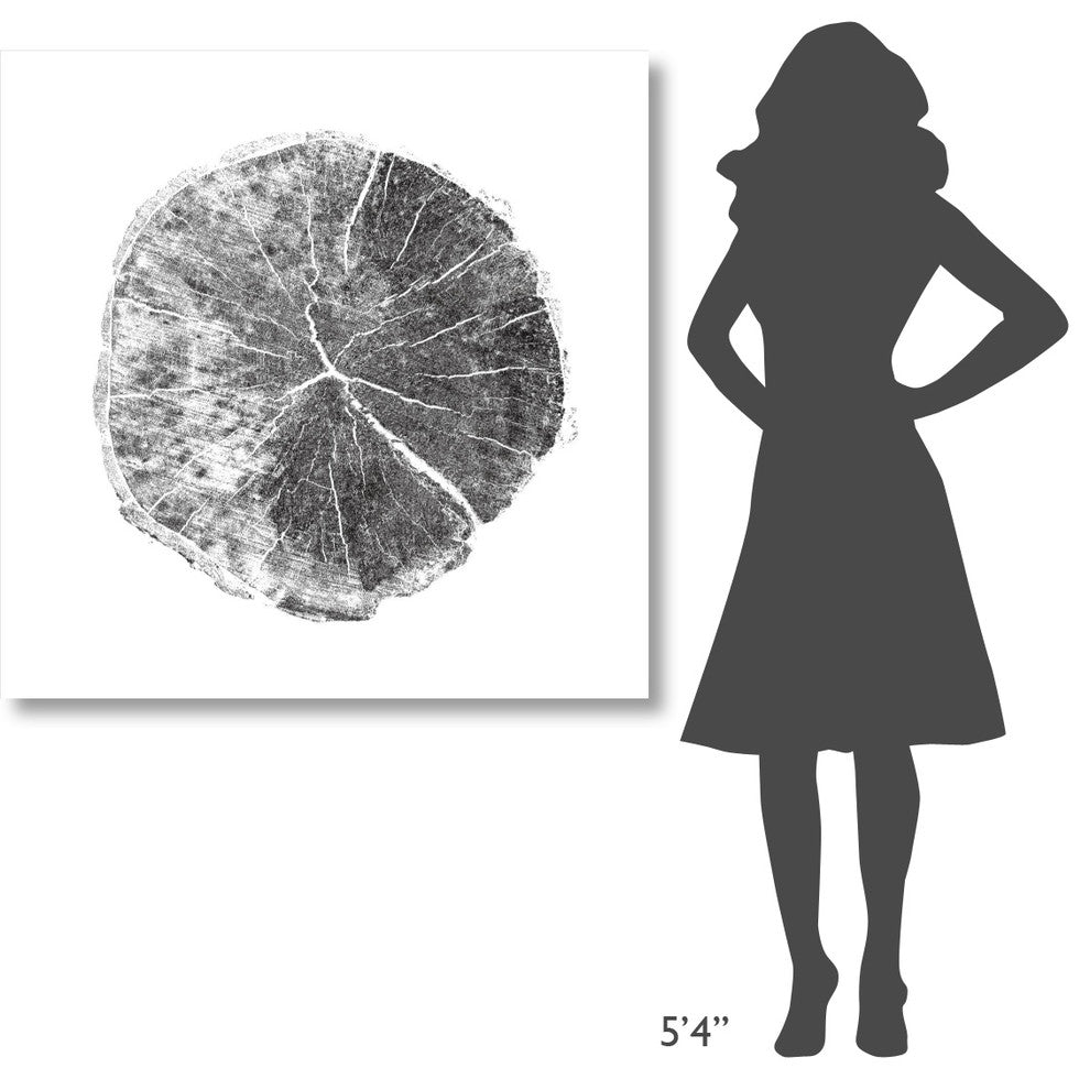 "Woodland Years I with Silver Foil" Paper Print by Sue Schlabach, 42"x42"