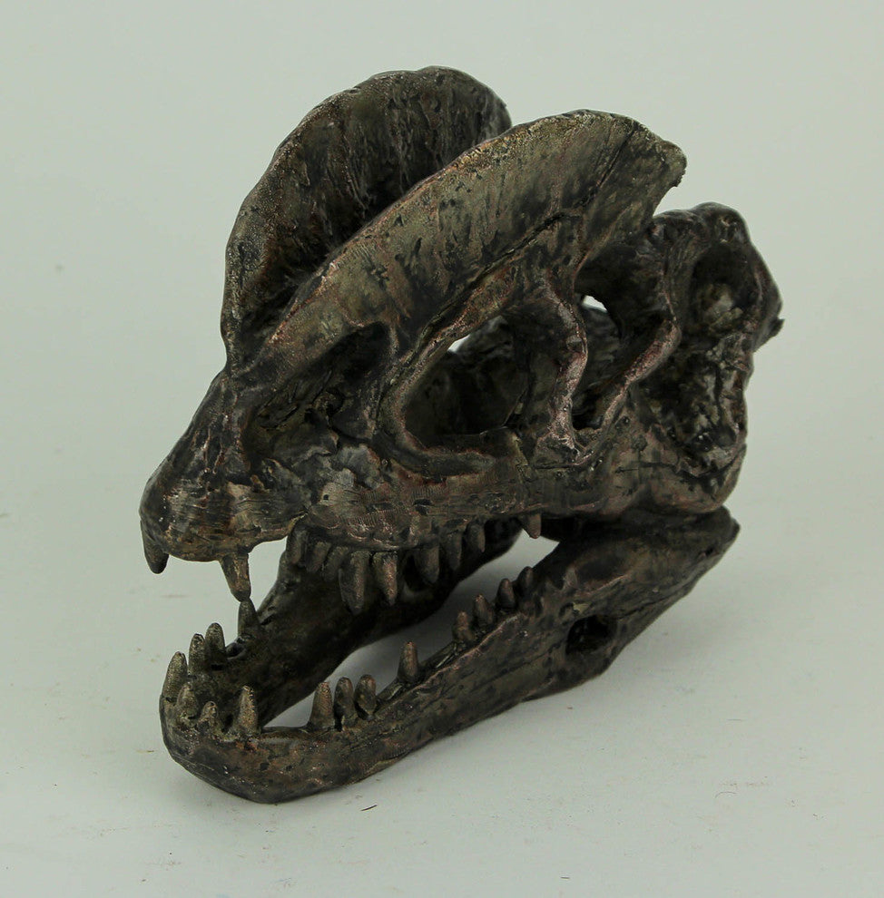 Dilophosaurus Dinosaur Head Fossil Statue Small