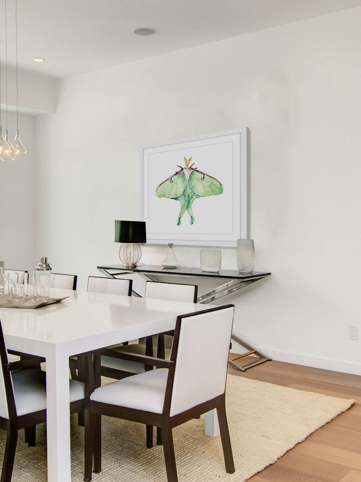"Luna Moth" Framed Print by Rachel Byler