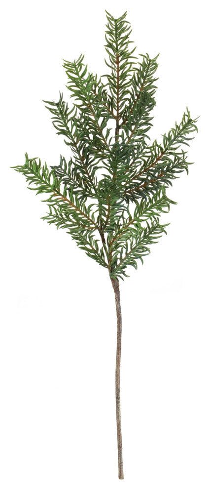 Pine Spray, Set of 12