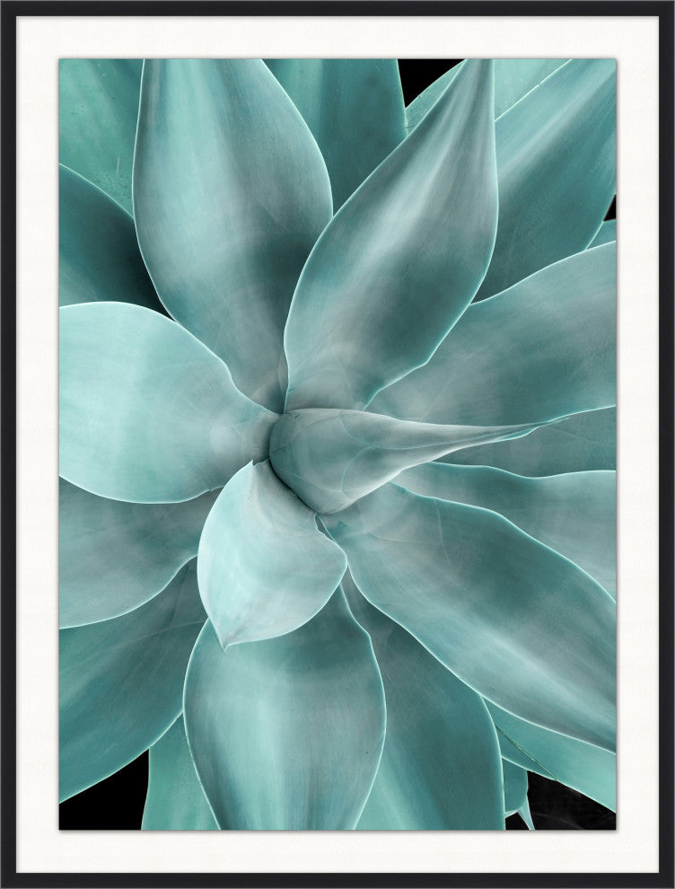 Bold Agave 2, Giclee Reproduction Artwork