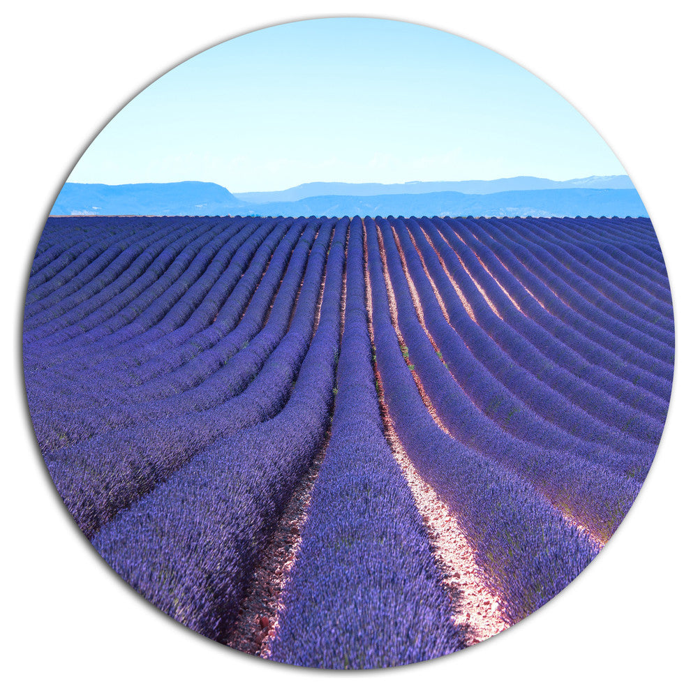 Endless Rows Of Lavender Flowers, Floral Wall Disc Metal Wall Art, 11"
