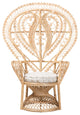 Fedra Modern Bohemian Natural Brown Rattan Peacock Accent Chair