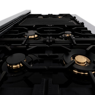 48" Dual Fuel Range, Stainless With Black and Champagne RAZ-BLM-48-CB
