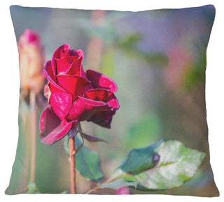 Red Rose On Blurred Background Flower Throw Pillow, 16"x16"