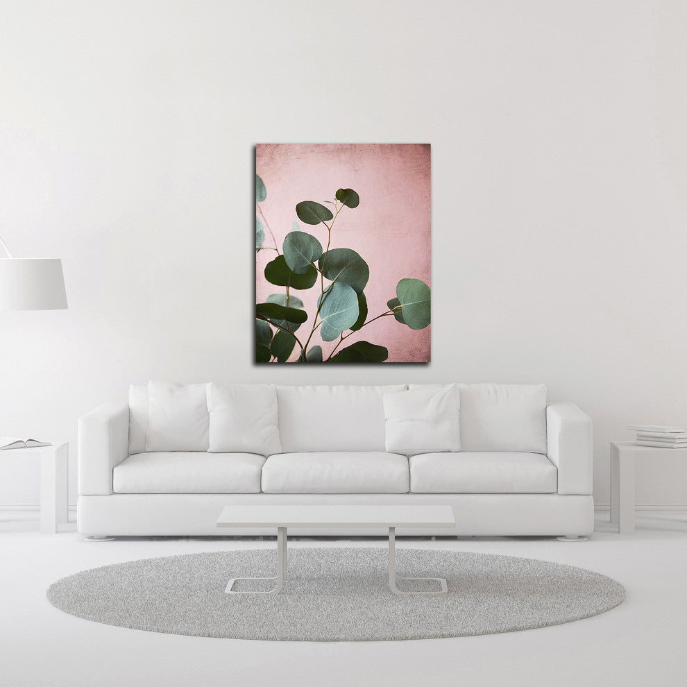 Sage Eucalyptus No. 2 by Lupen Grainne, Print on Canvas, 24" x 30"