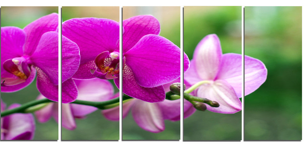 Beautiful Orchid Flowers on Green, Large Floral Canvas Print, 60"x28", 5 Panels