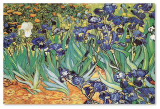 Vincent van Gogh 'Iris Garden' Canvas Art, 32 x 22