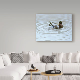 Ron Parker 'Preening' Canvas Art, 24"x18"