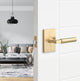 Levanto Privacy Rosette, Satin Brass, Smooth Grip in Satin Brass