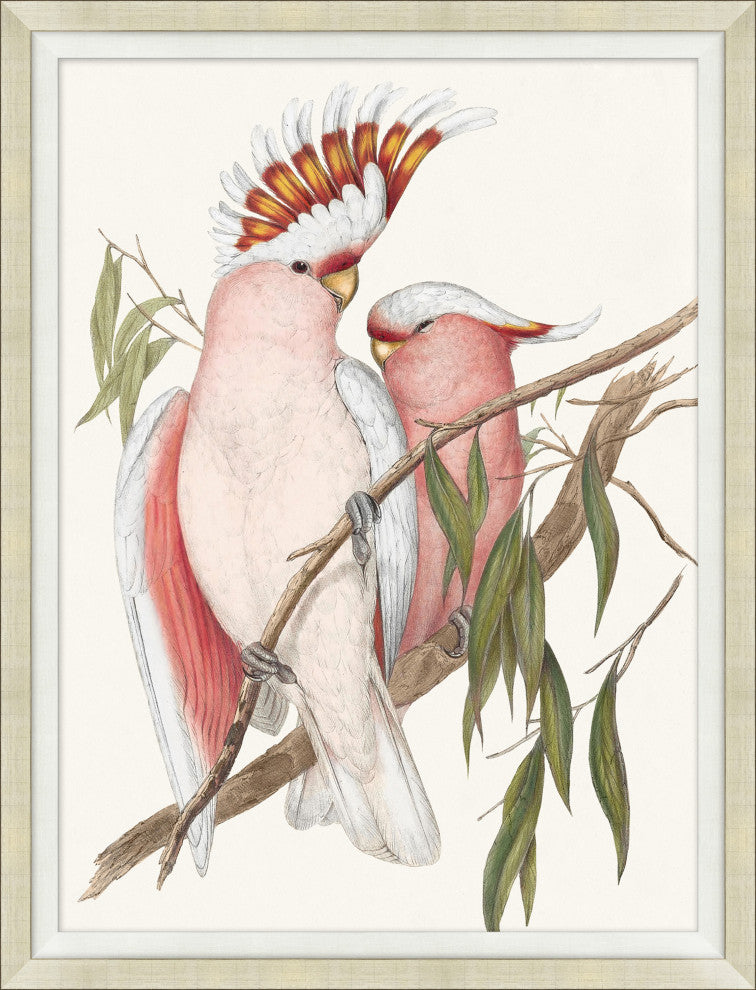 Cocatoo 2, Giclee Reproduction Artwork