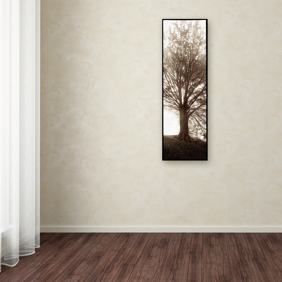 Alan Blaustein ''Hampton Gates Tree No. 1'' Canvas Art, 8x24