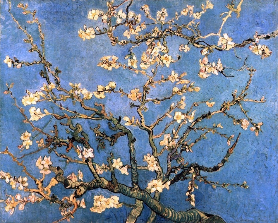 Vincent Van Gogh A Branch With Almond Blossom, 20"x25" Wall Decal