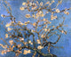 Vincent Van Gogh A Branch With Almond Blossom, 20"x25" Wall Decal