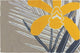 Homefires Yellow Orchid