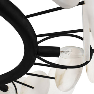 Cosmos 6-Lt Chandelier - Matte Black