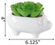 White Ceramic Pig
