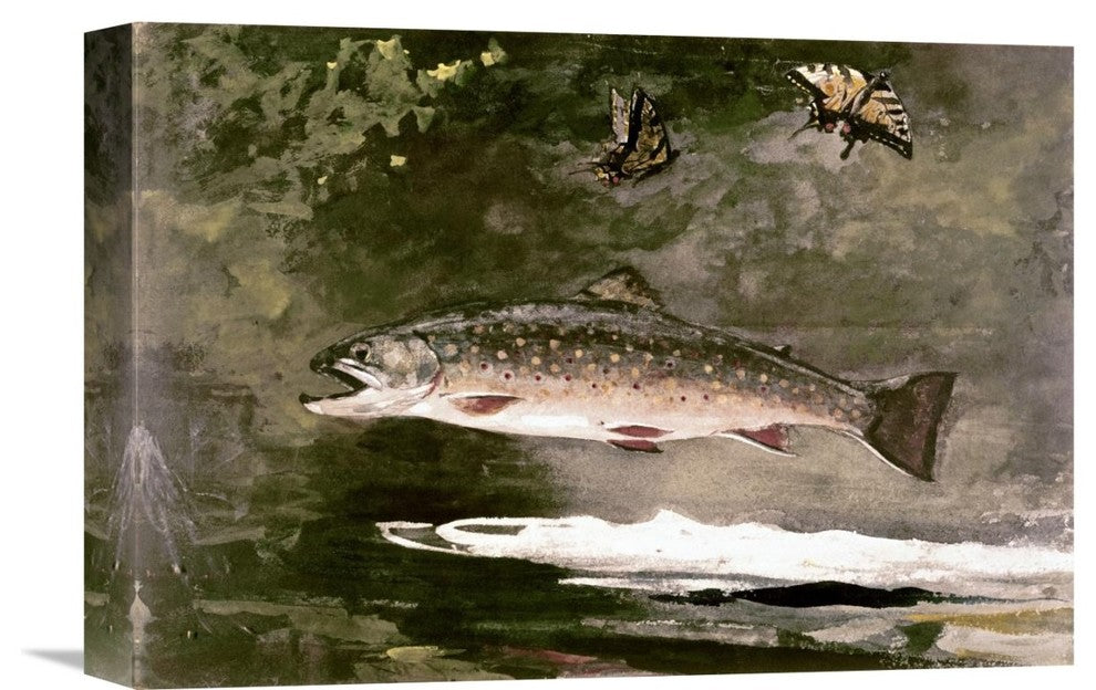 "Trout" Stretched Canvas Giclee by Winslow Homer, 16"x11"