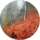 Red Fern In Foggy Fall Fay, Landscape Photo Disc Metal Wall Art, 23"