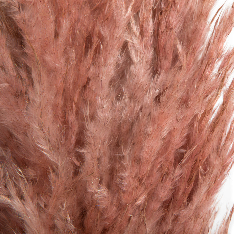 Vickerman 46" Dried Pampas Grass, Dusty Rose