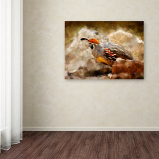 Lois Bryan 'Hurrying Quail' Canvas Art, 32"x24"