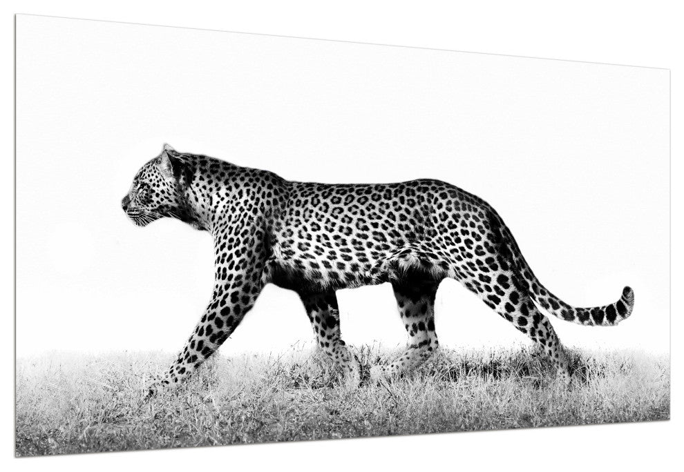 Leopard Glass Wall Art Frameless Free Floating Tempered Glass Print