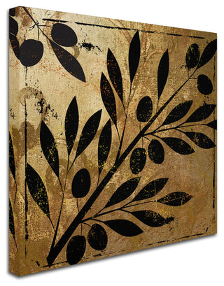 Color Bakery 'Bellissima II' Canvas Art, 35"x35"