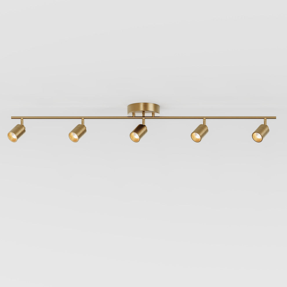 Vidalite Shura, Linear, 5 Head Track Light Brass