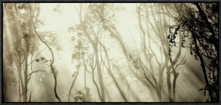 "Fog" Framed Canvas Giclee by Jorge Feteira, 31x15"