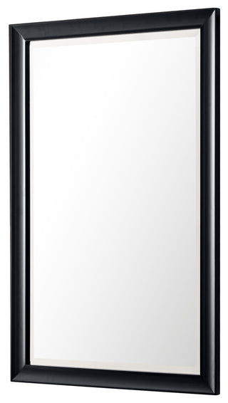Glenbrooke 26" Mirror, Black Onyx